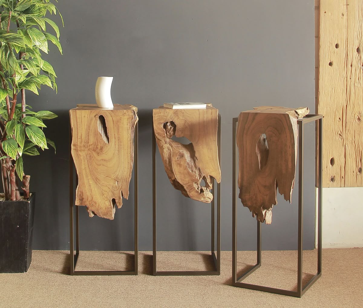 Live Edge Coffee Table – Solid Sheesham Wood with Hairpin Legs