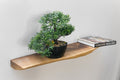 Live Edge Sheesham Floating Shelves – Reclaimed Industrial Wooden Floating Shelves