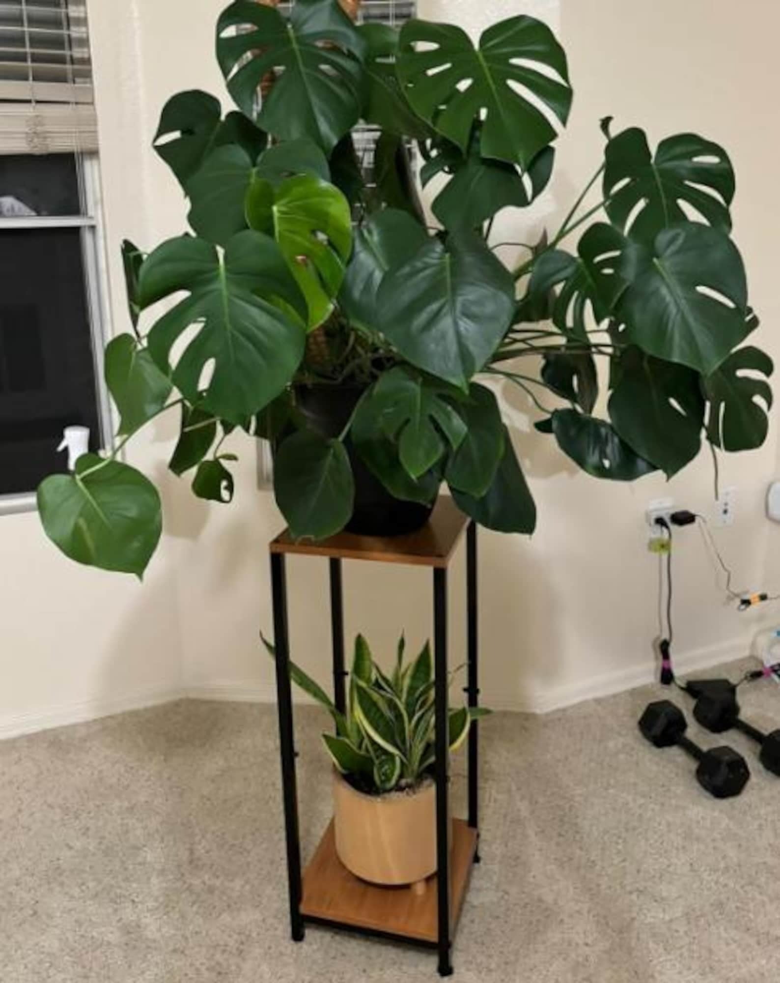 2 Tier Metal Wood Plant Stand – Indoor Plant Stand | Waterproof & Rustproof Wooden Flower Pot Stand for Home Décor