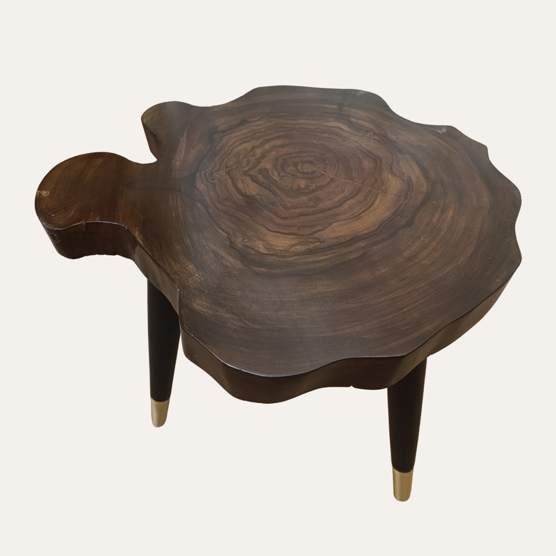 Live Edge Sheesham Wood Nesting Tables – Set of 3 with Golden Brass Tips | Aureus Living