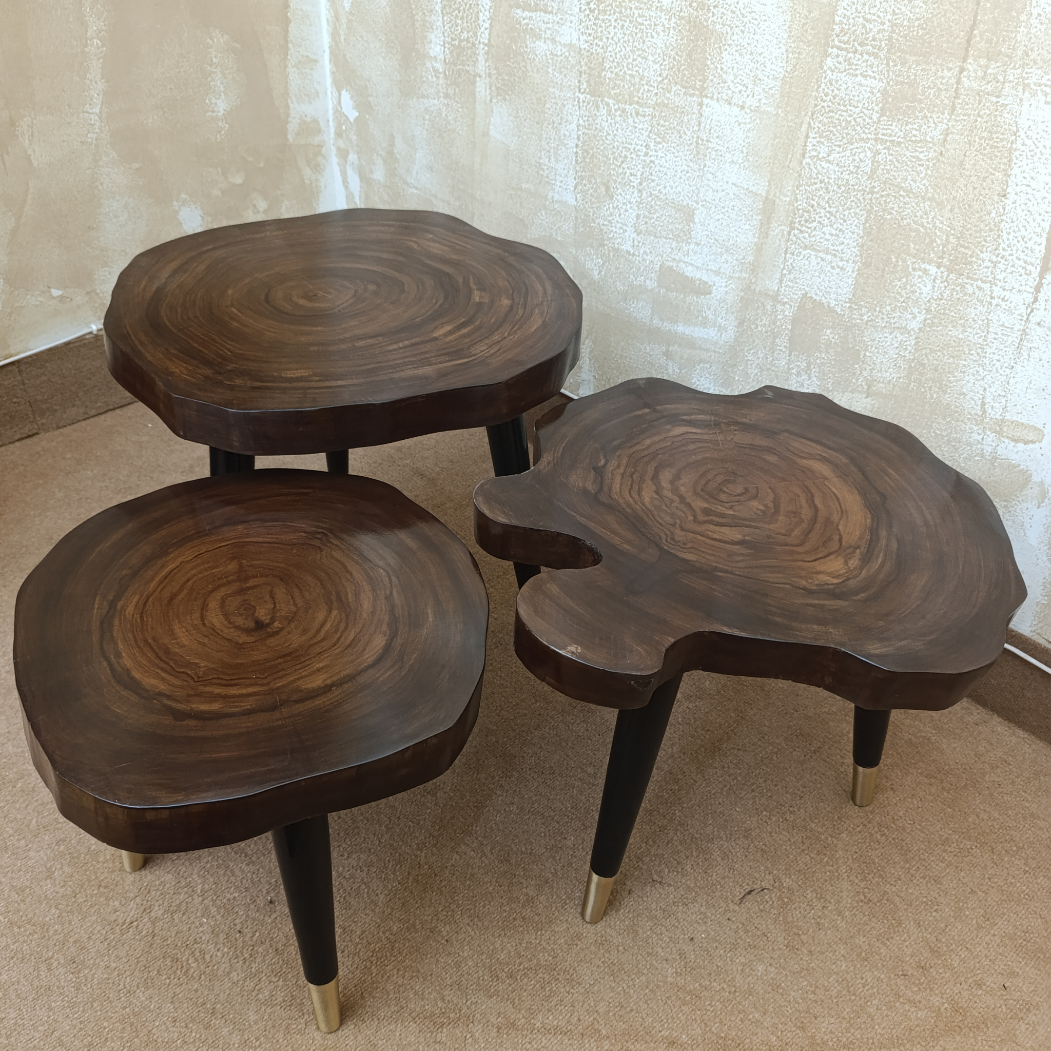 Live Edge Sheesham Wood Nesting Tables – Set of 3 with Golden Brass Tips | Aureus Living