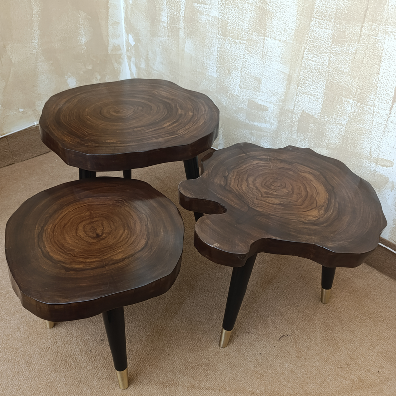 Live Edge Sheesham Wood Nesting Tables – Set of 3 with Golden Brass Tips | Aureus Living